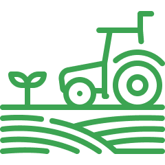 Agriculture and Fertilizers